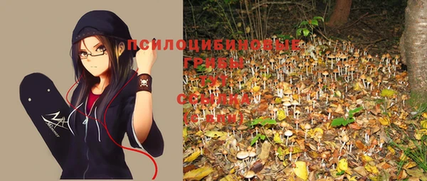 спайс Алексеевка