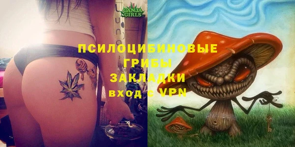спайс Алексеевка