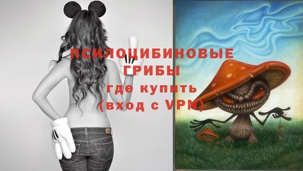 спайс Алексеевка