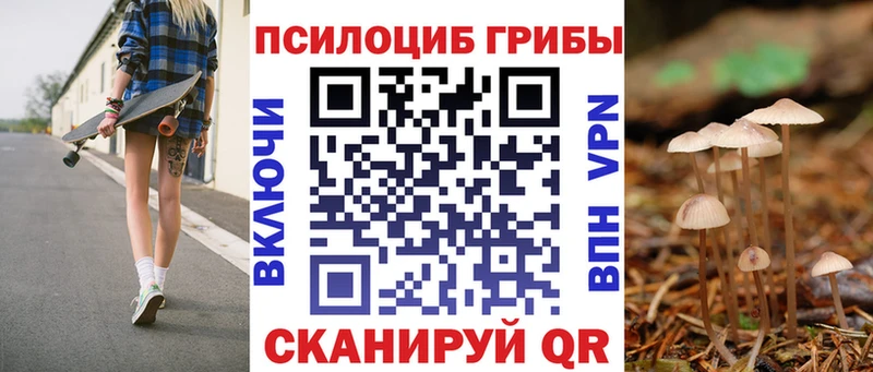 кракен ССЫЛКА  где купить наркотик  Санкт-Петербург  Псилоцибиновые грибы Cubensis 